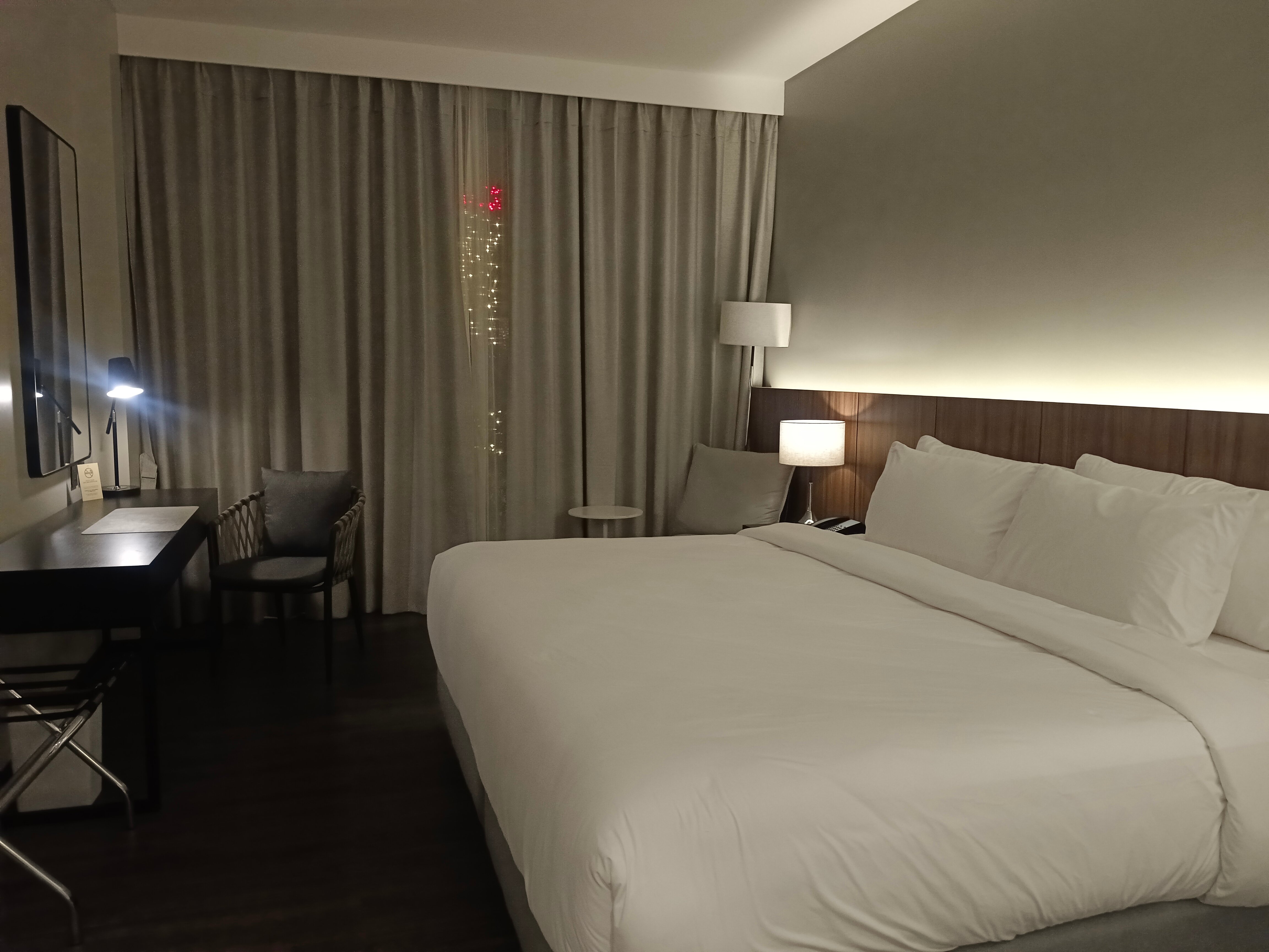 The Maximilian Hotel-客卧