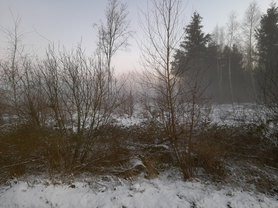 Landschap de Liereman-旧腾浩特必去景点