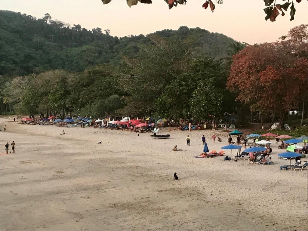 Charlie Beach景点图片