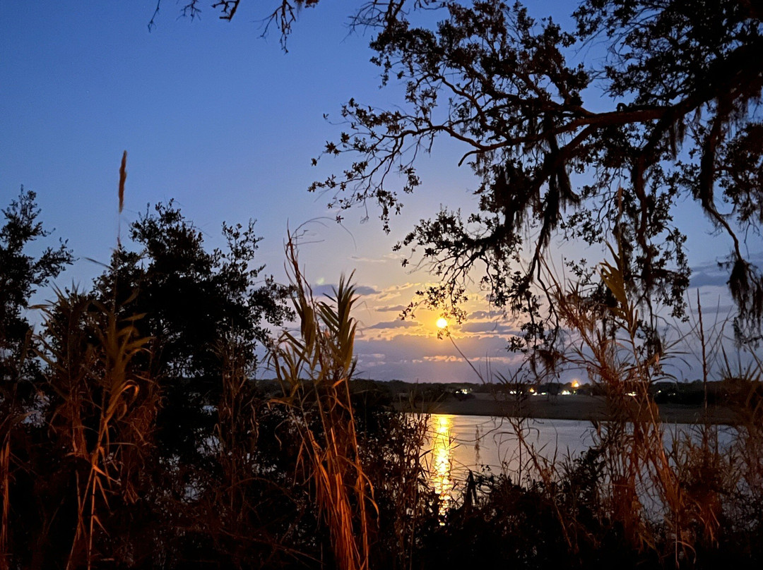 Shannon Scott Tours-萨凡纳必去景点