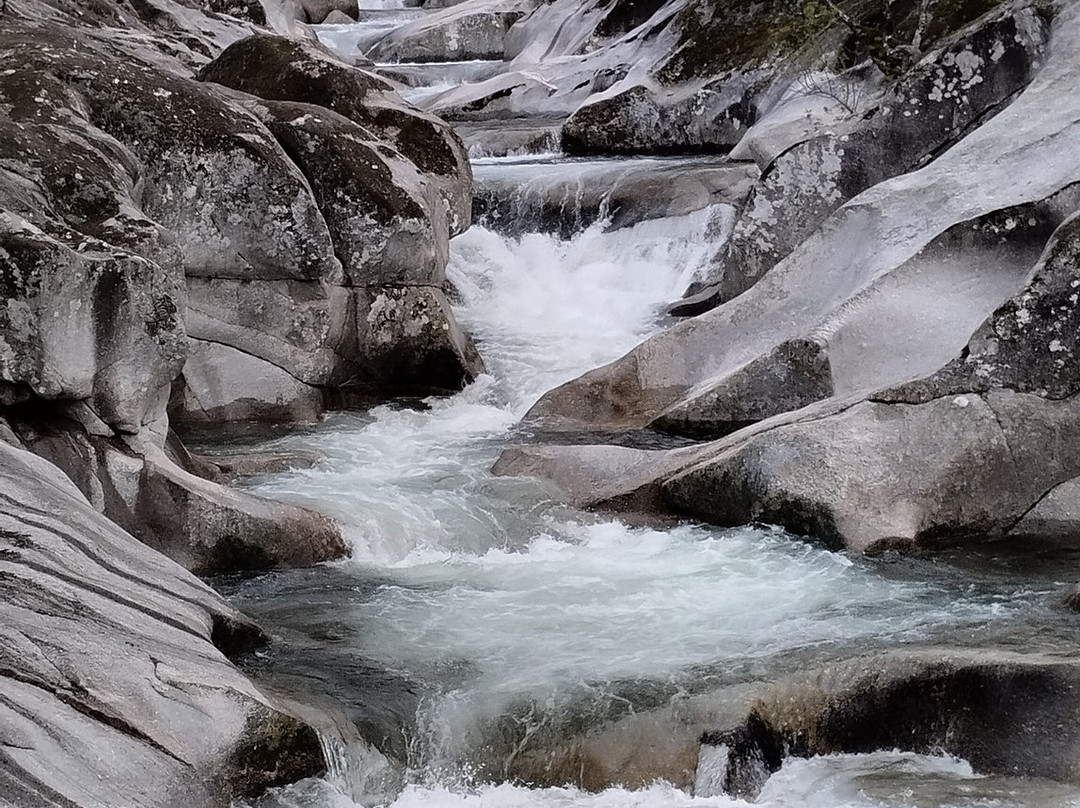 Monfrague Natural Ecoturismo景点图片