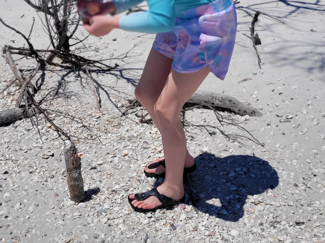 Eco Endeavors-Goodland必去景点