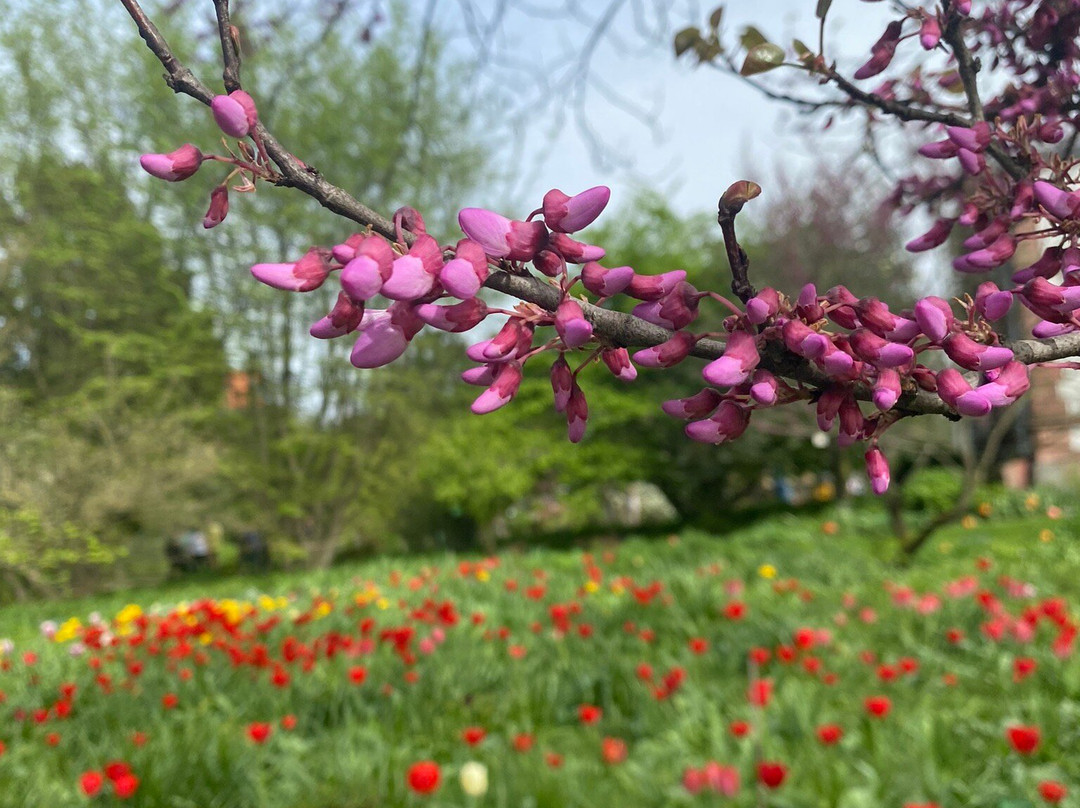 Schau- und Sichtungsgarten Hermannshof-魏因海姆必去景点