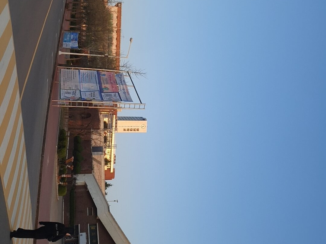 Yeungnam University Love Road-庆山市必去景点