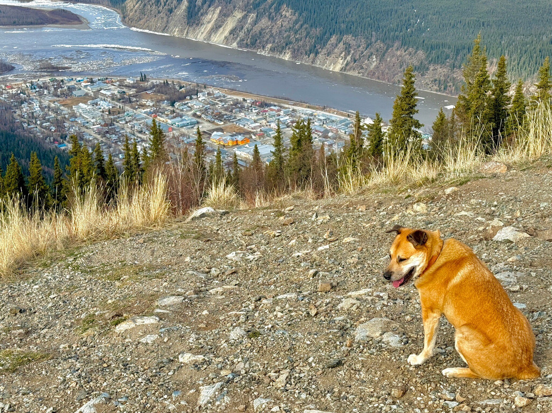 Paddlewheel Graveyard-道森市必去景点