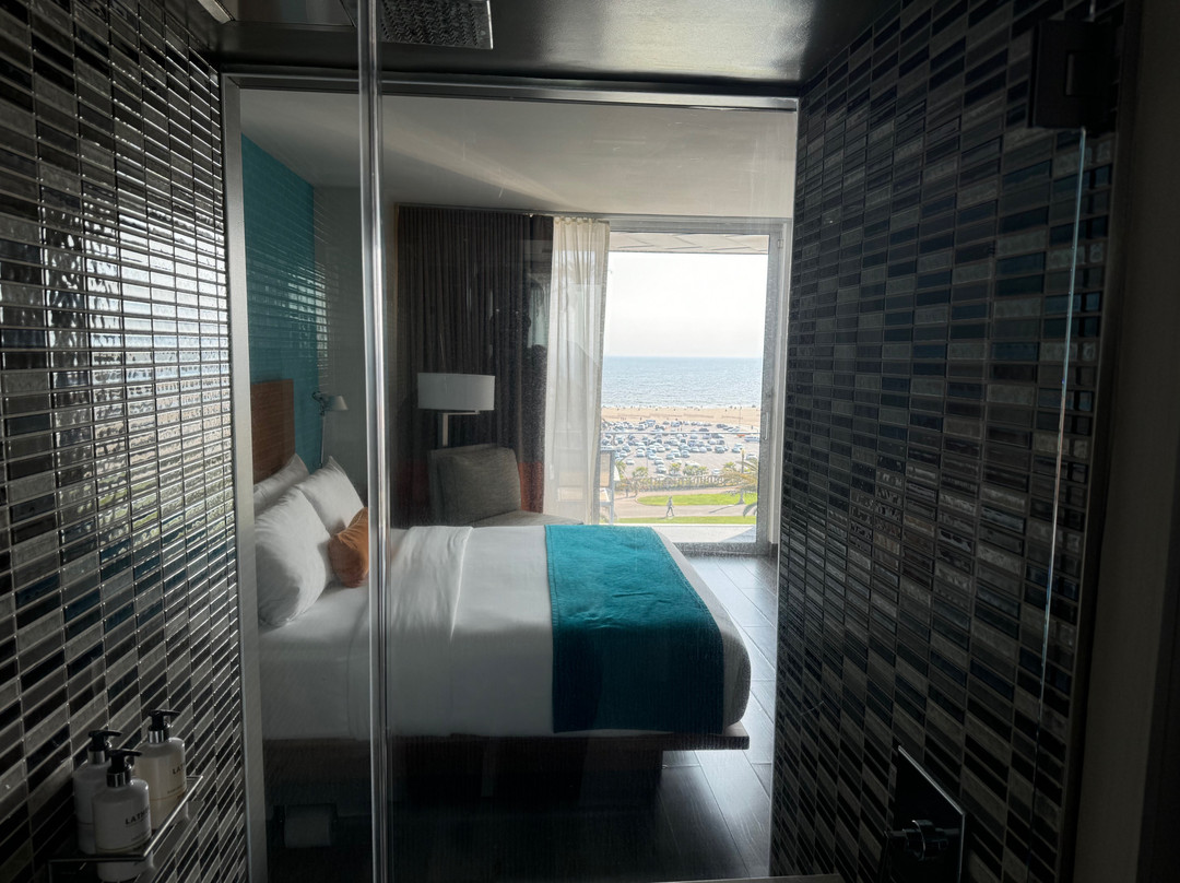 圣塔莫尼卡海滨酒店主图