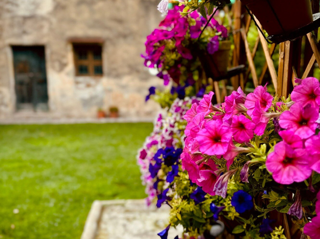 B&B A Casa Di Anja