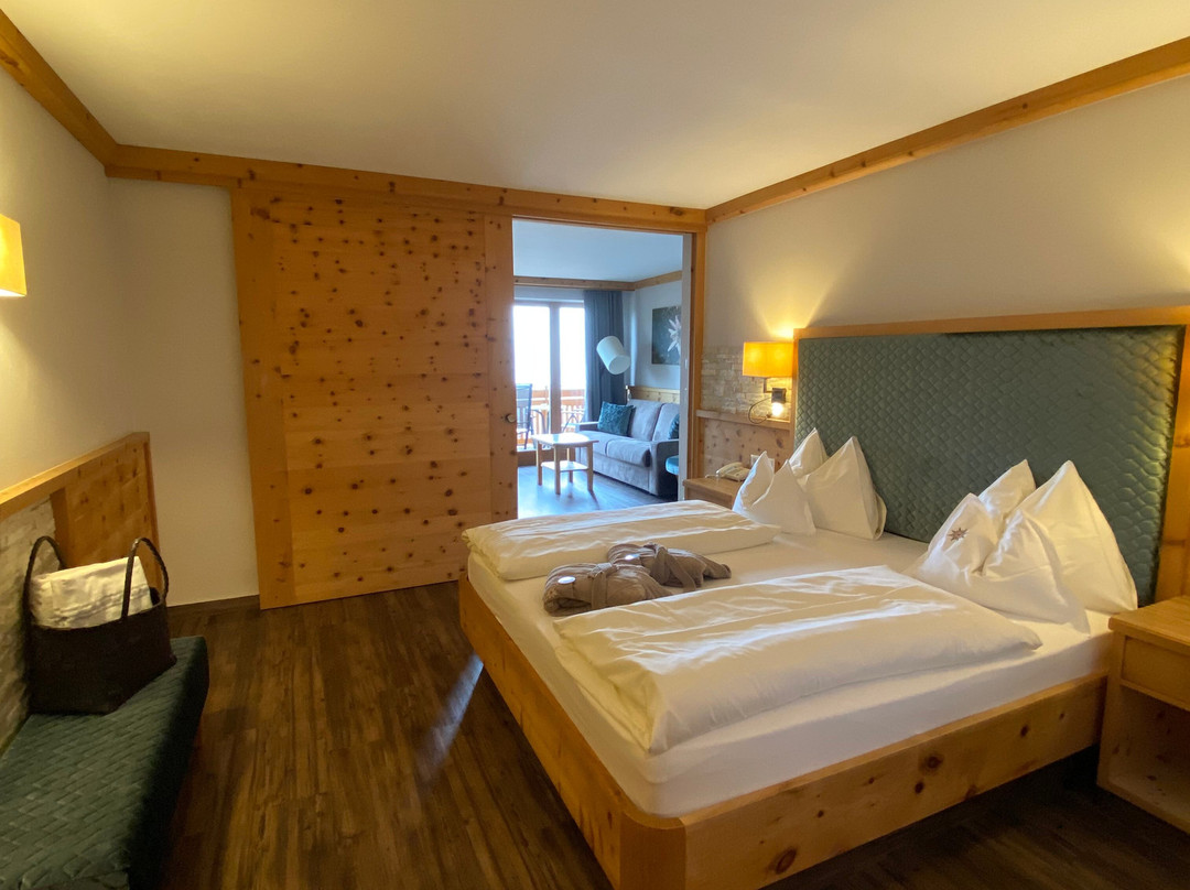 Hotel Edelweiss主图