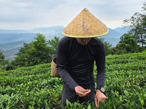 SichuanFun-成都必去景点