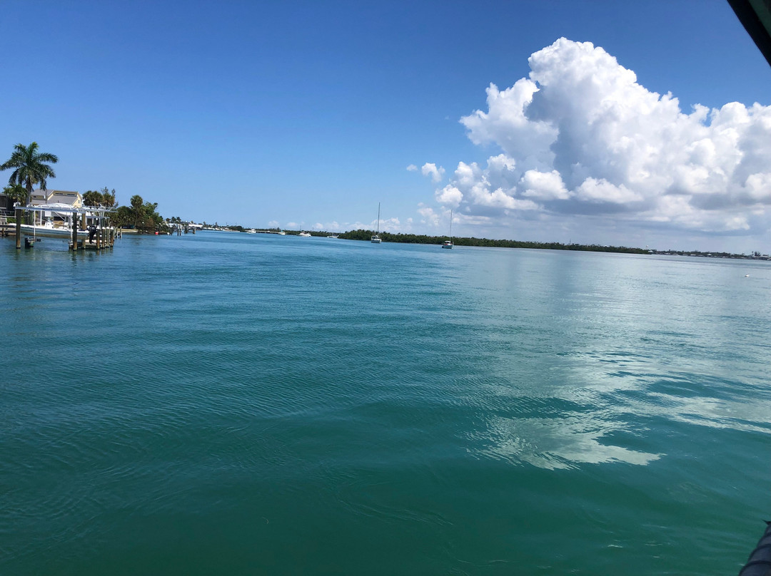 Lemon Bay Tours-恩格尔伍德必去景点
