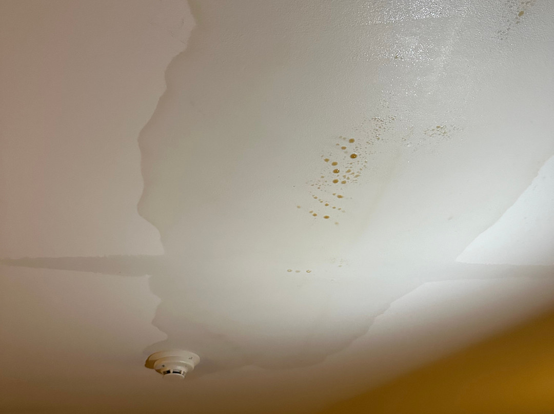 George Brooks House Bed & Breakfast主图