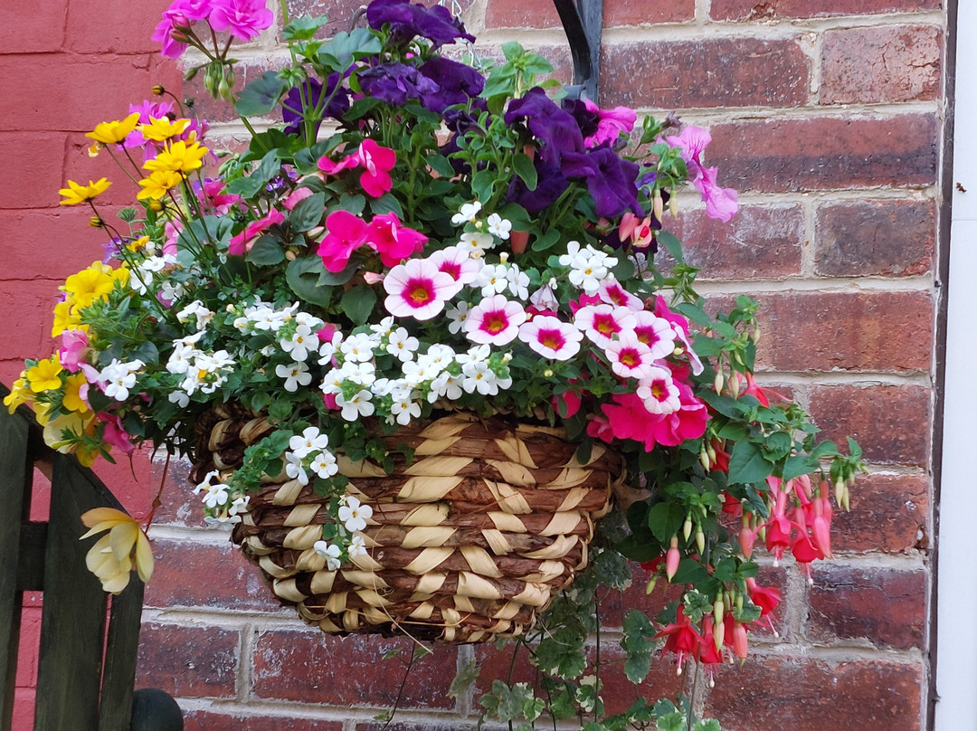 Langlands Loxley, Sheffield Garden Centre-谢菲尔德必去景点
