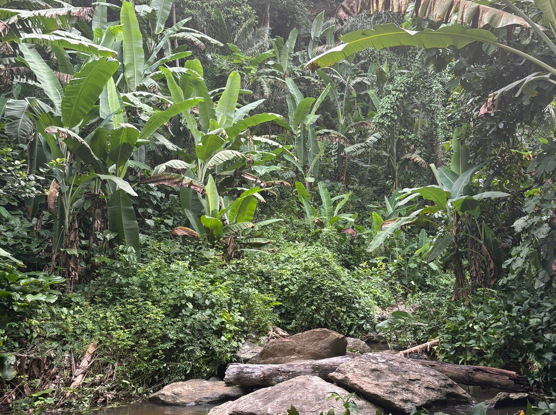 Cascade de Womé景点图片