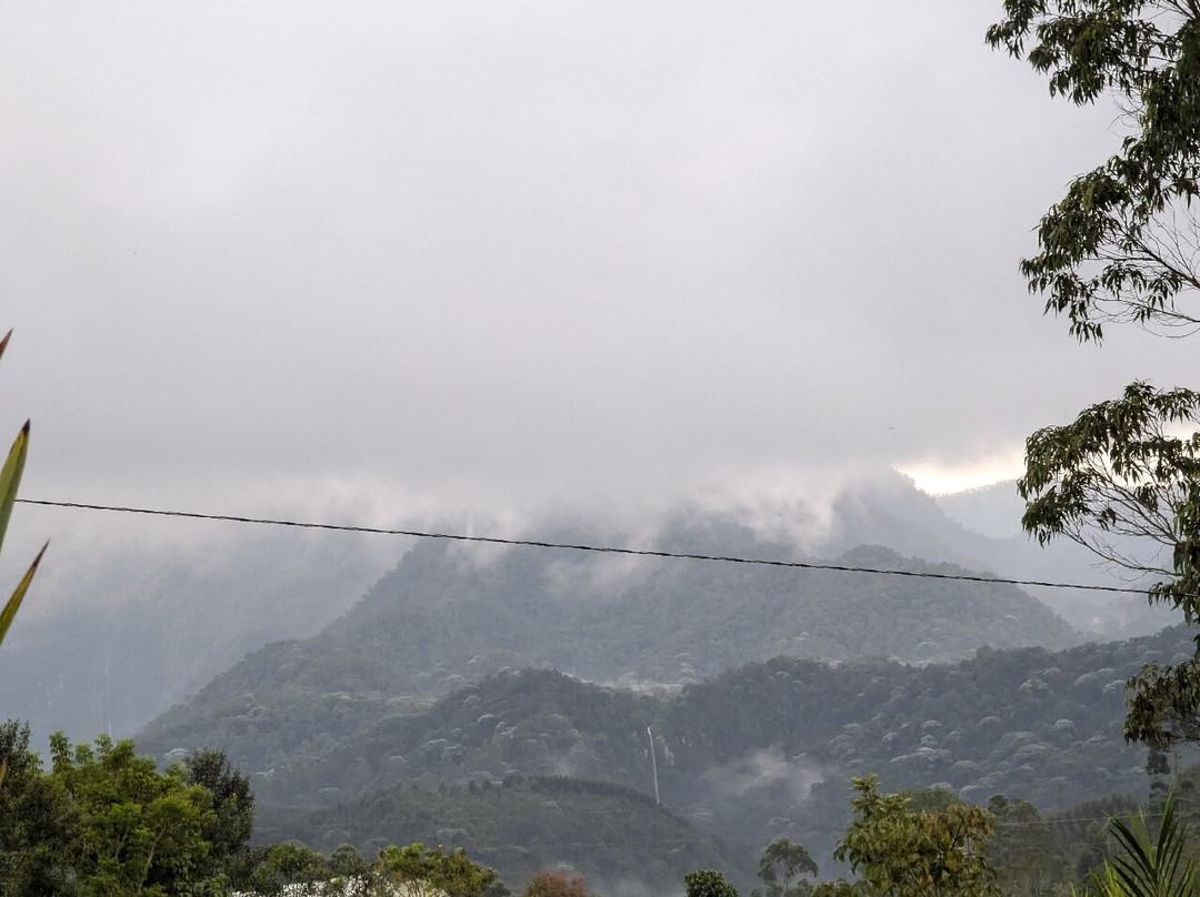 Rancho Saman-佩雷拉必去景点