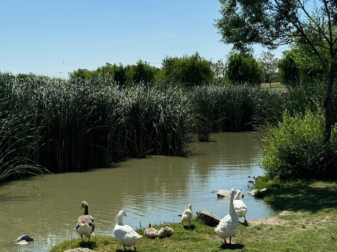 Golbasi Genclik Parki景点图片