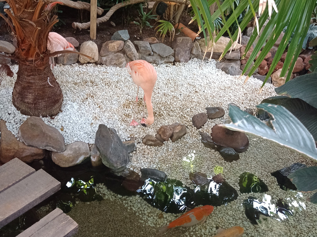 Center Parcs Erperheide主图