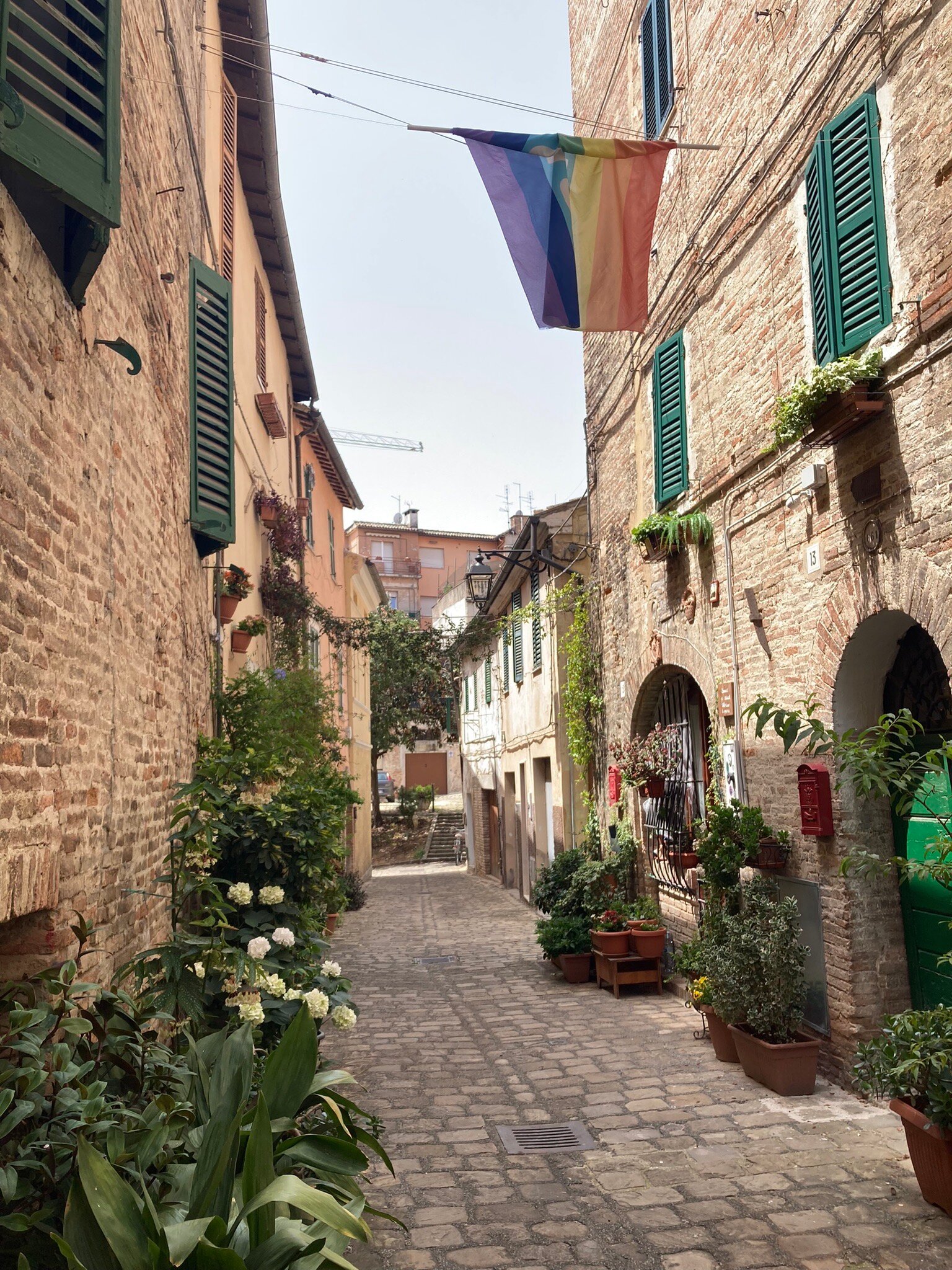 Poggio Antico-官方