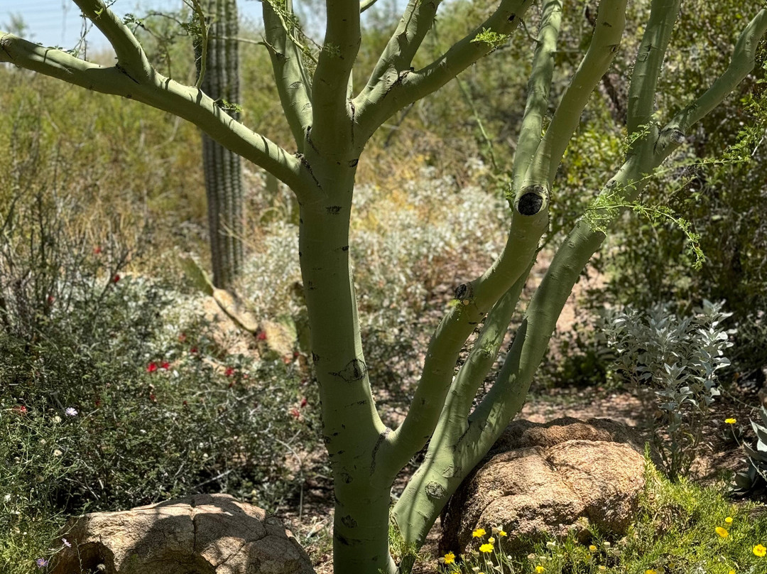 Fifth Avenue-斯科茨代尔必去景点