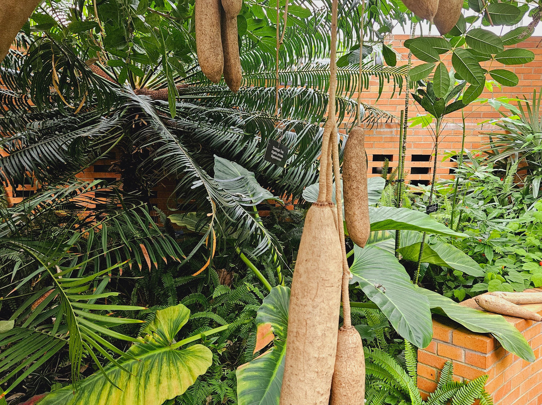 Matthaei Botanical Gardens-安娜堡必去景点