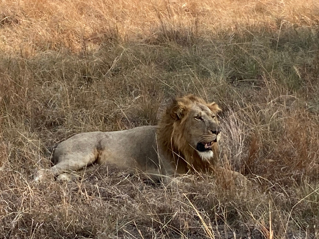 Bujuku Eco Tours & Travel Ltd-Kasese必去景点