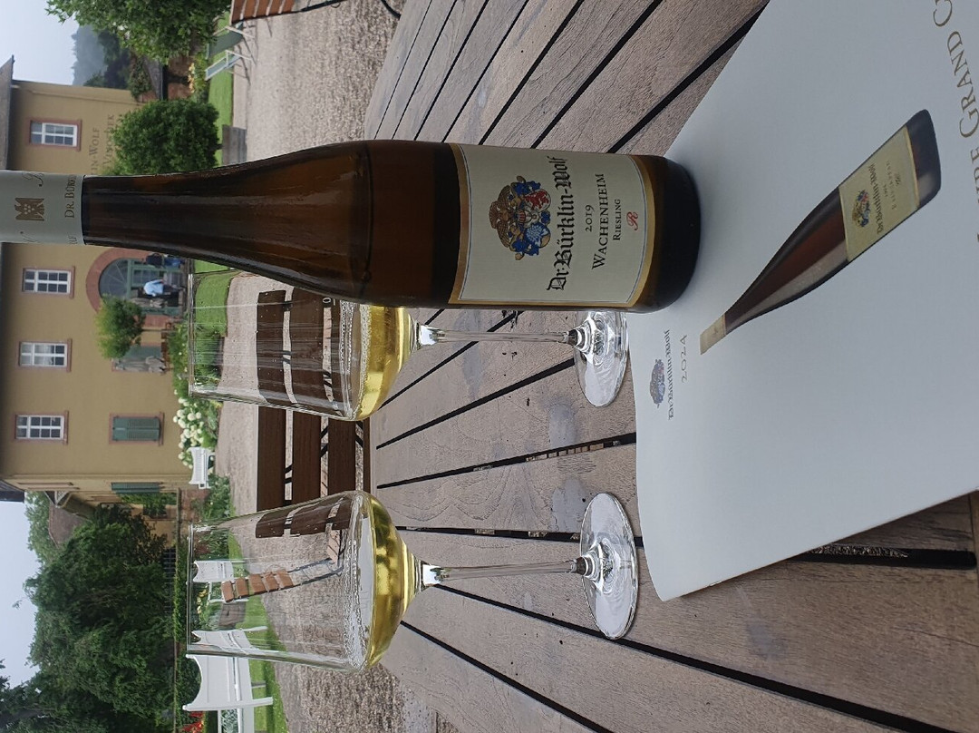 Weingut Dr. Buerklin-Wolf景点图片