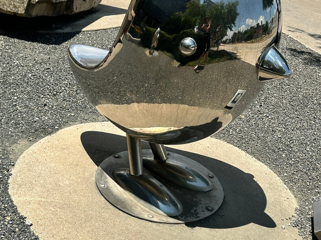 榆树街-达拉斯必去景点