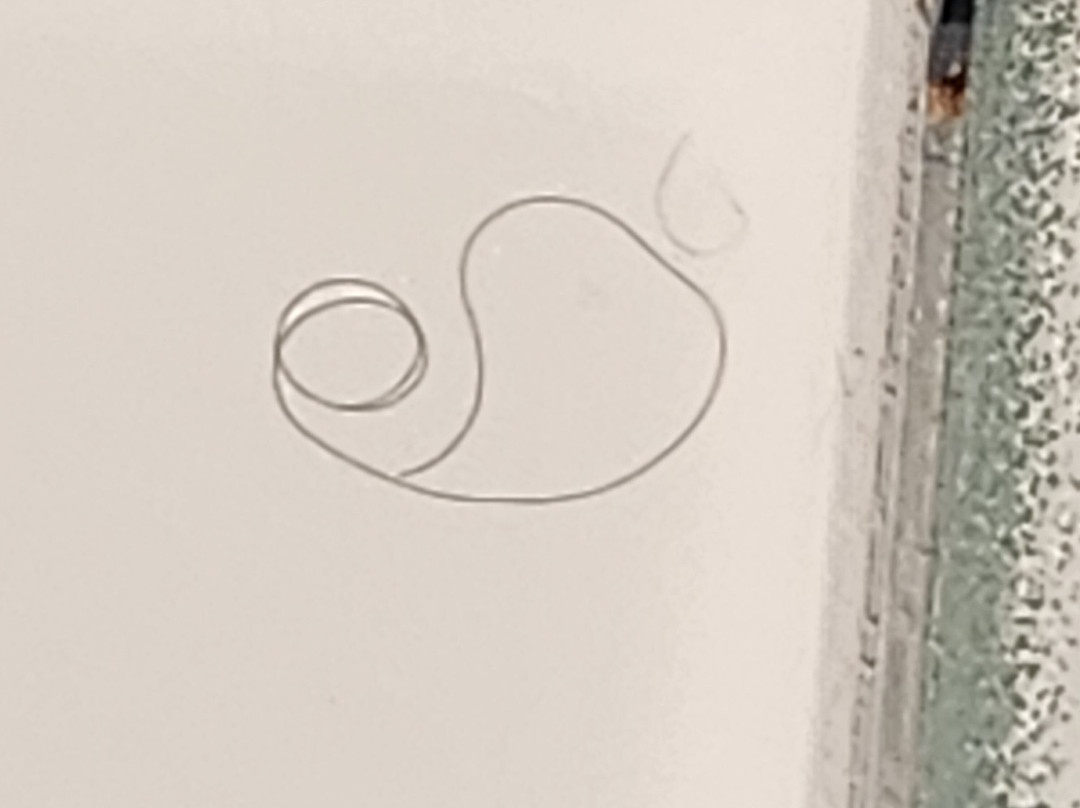 沃伦顿快捷假日&套房酒店主图