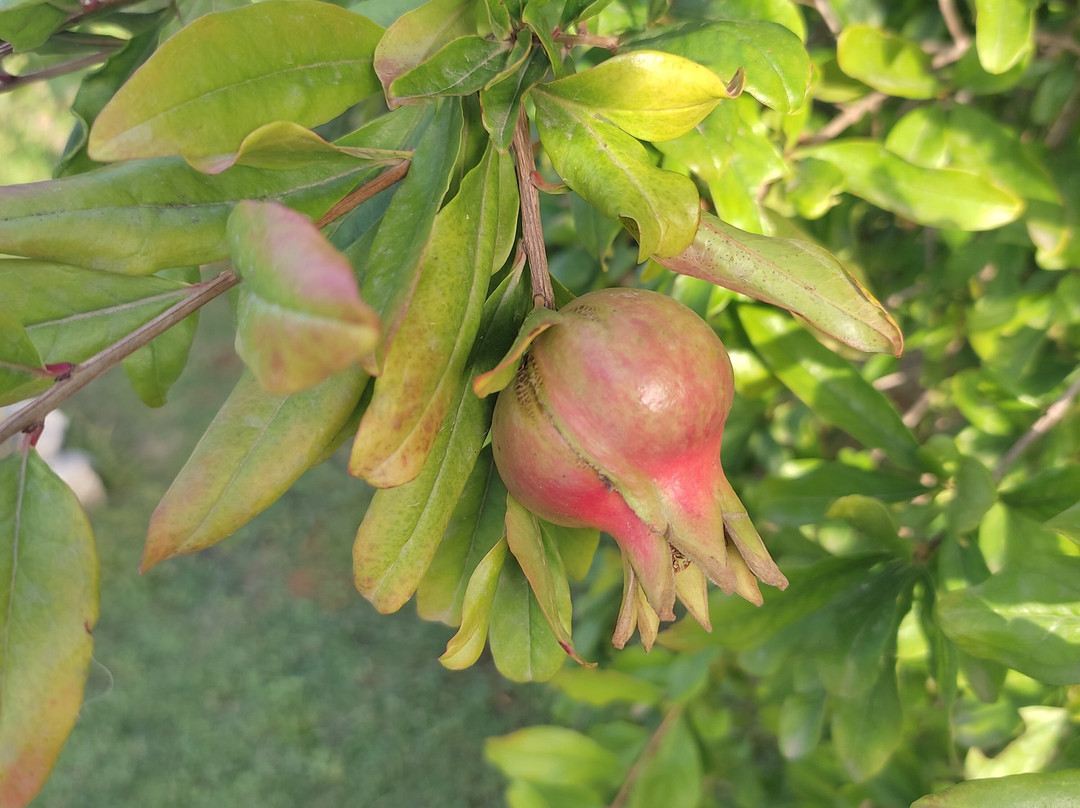 Sole e Sale B&B主图