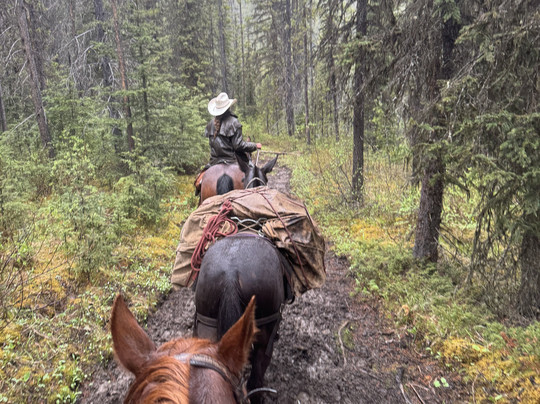 The Trail Riders of the Canadian Rockies-班夫必去景点