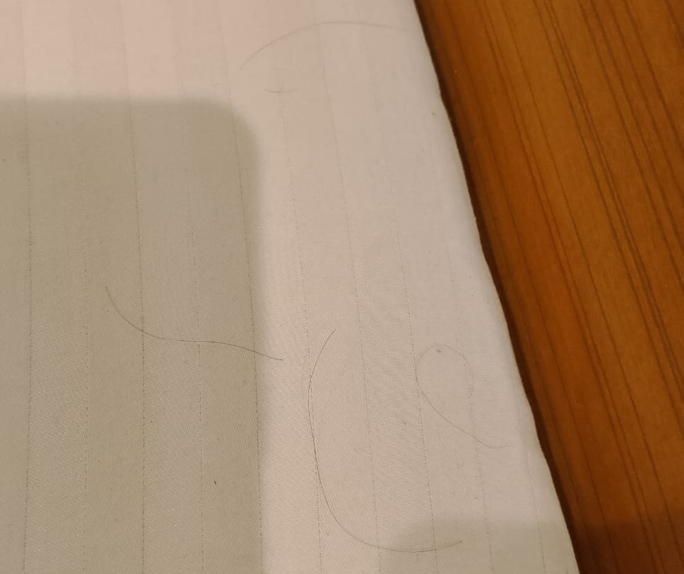 Hotel Pitamber主图