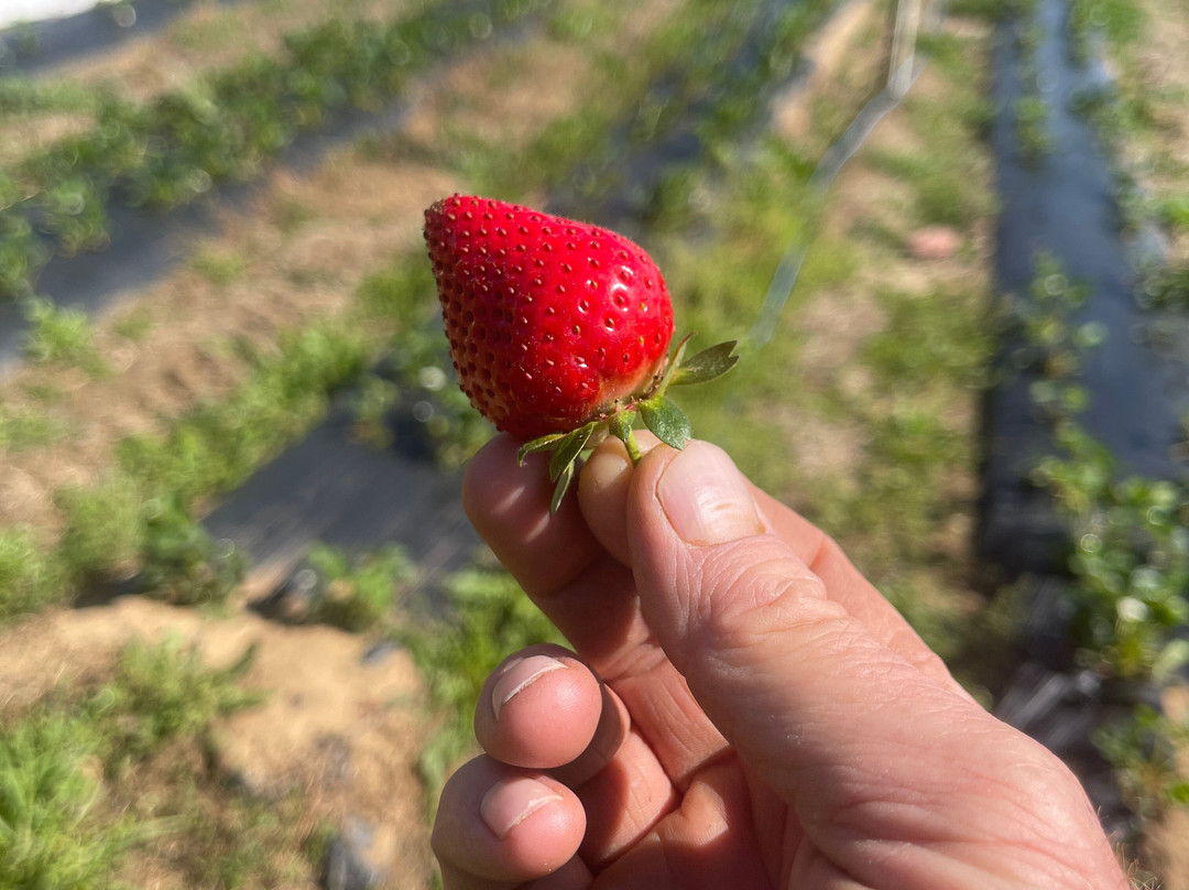 The Ten Acre Garden-Canton必去景点