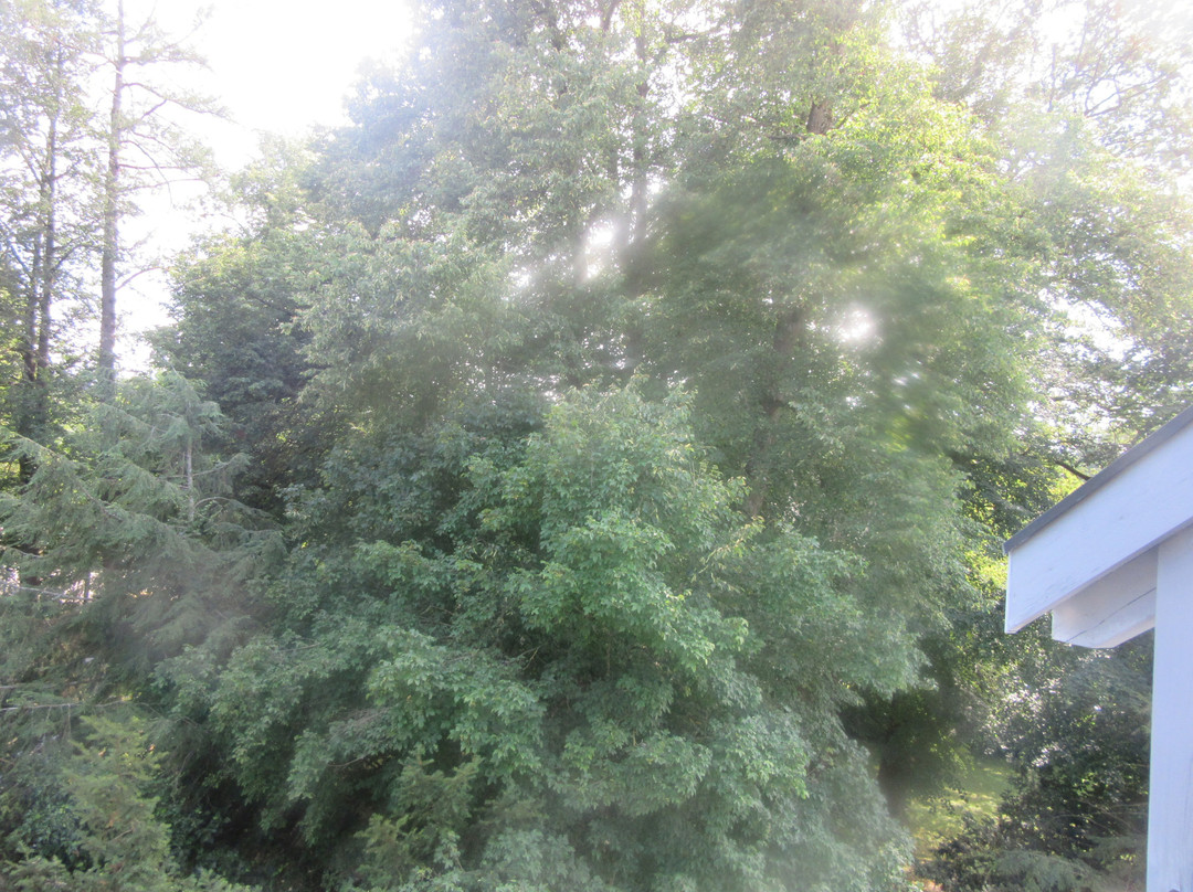 Hotel Sonnengarten主图