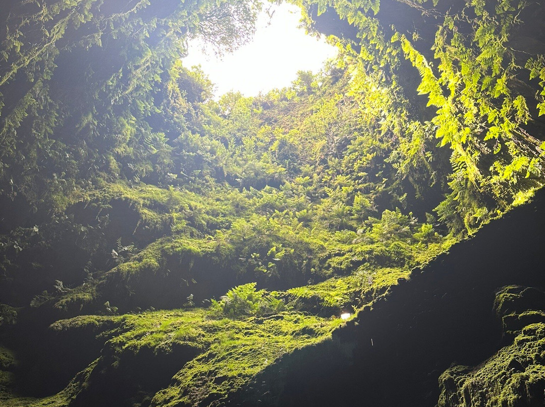 Sea Adventures-亚速尔群岛英雄港中心区必去景点