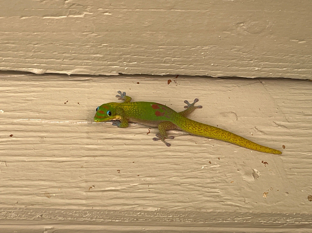 Sprecks Plantation House主图