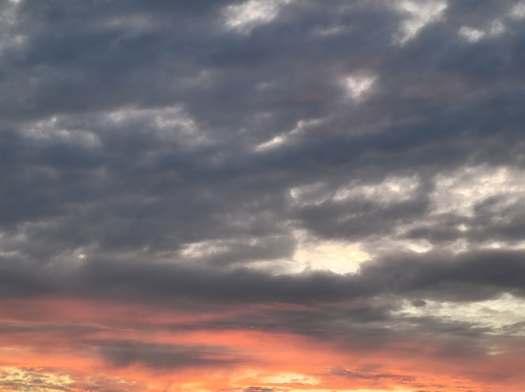 Hilton Garden Inn Roanoke主图