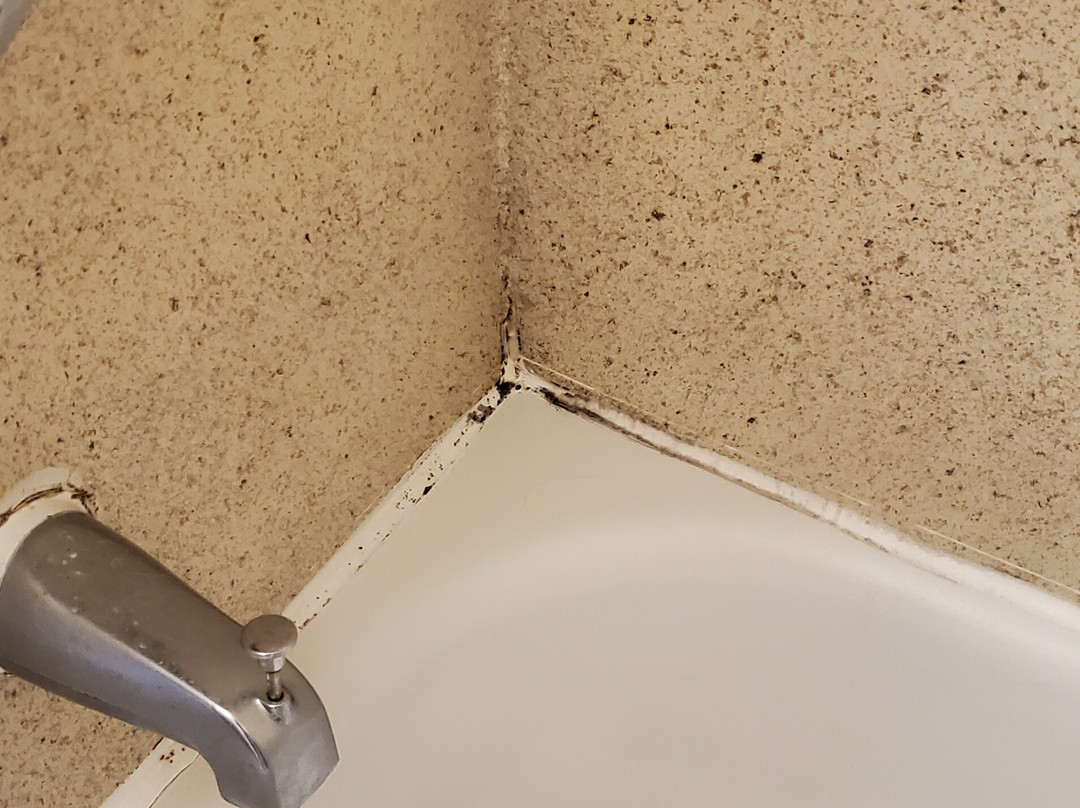 Extended Stay America Suites Newark Woodbridge主图