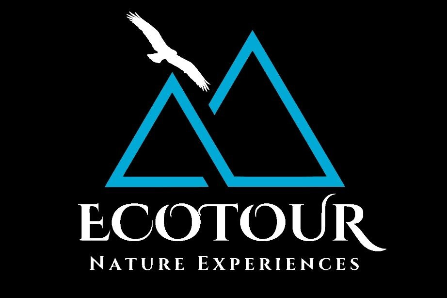 Ecotour Experiences