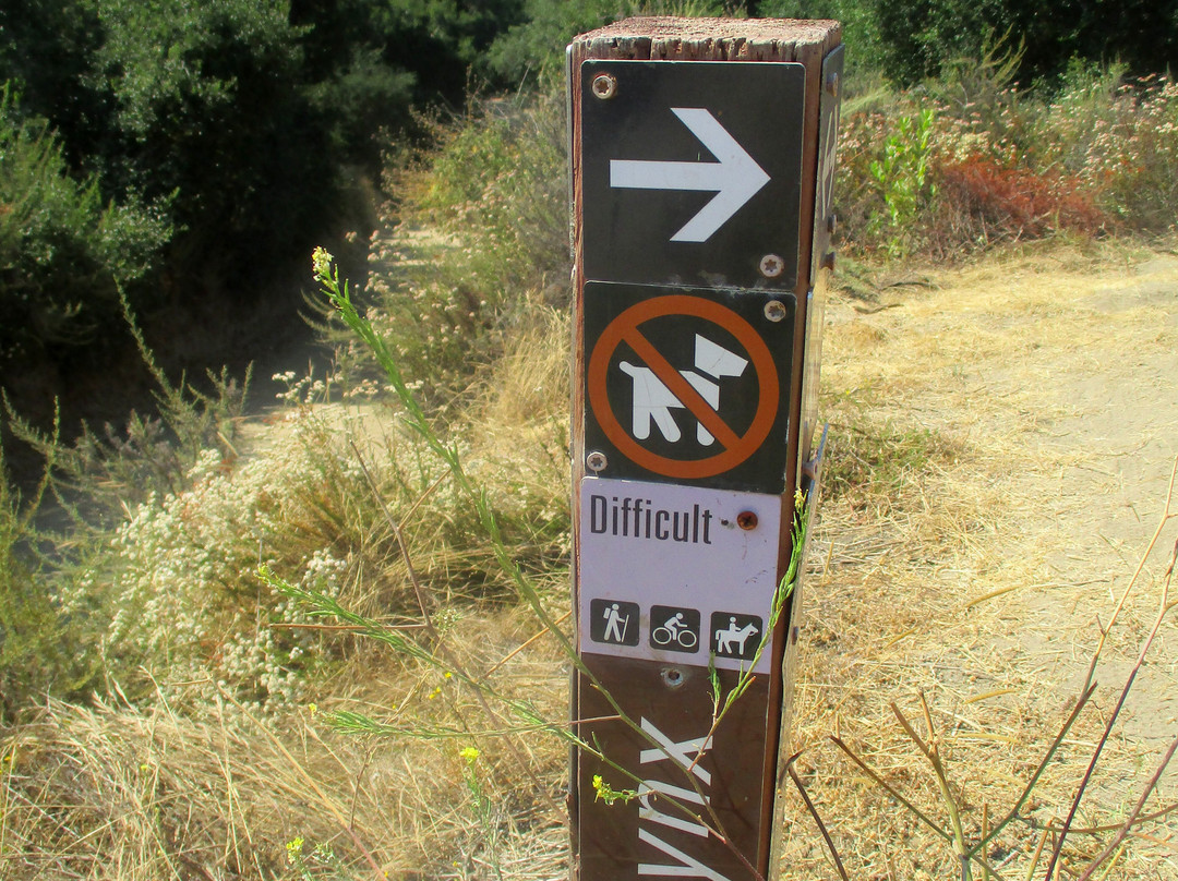 Aliso & Wood Canyons Wilderness Park-拉古纳尼格必去景点