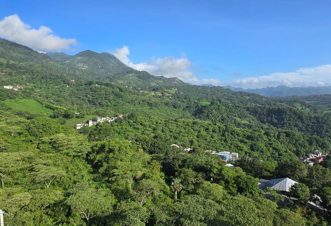 Hotel Real de Lua主图