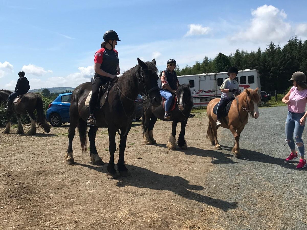 Wicklow Equi Tours-Glenealy必去景点