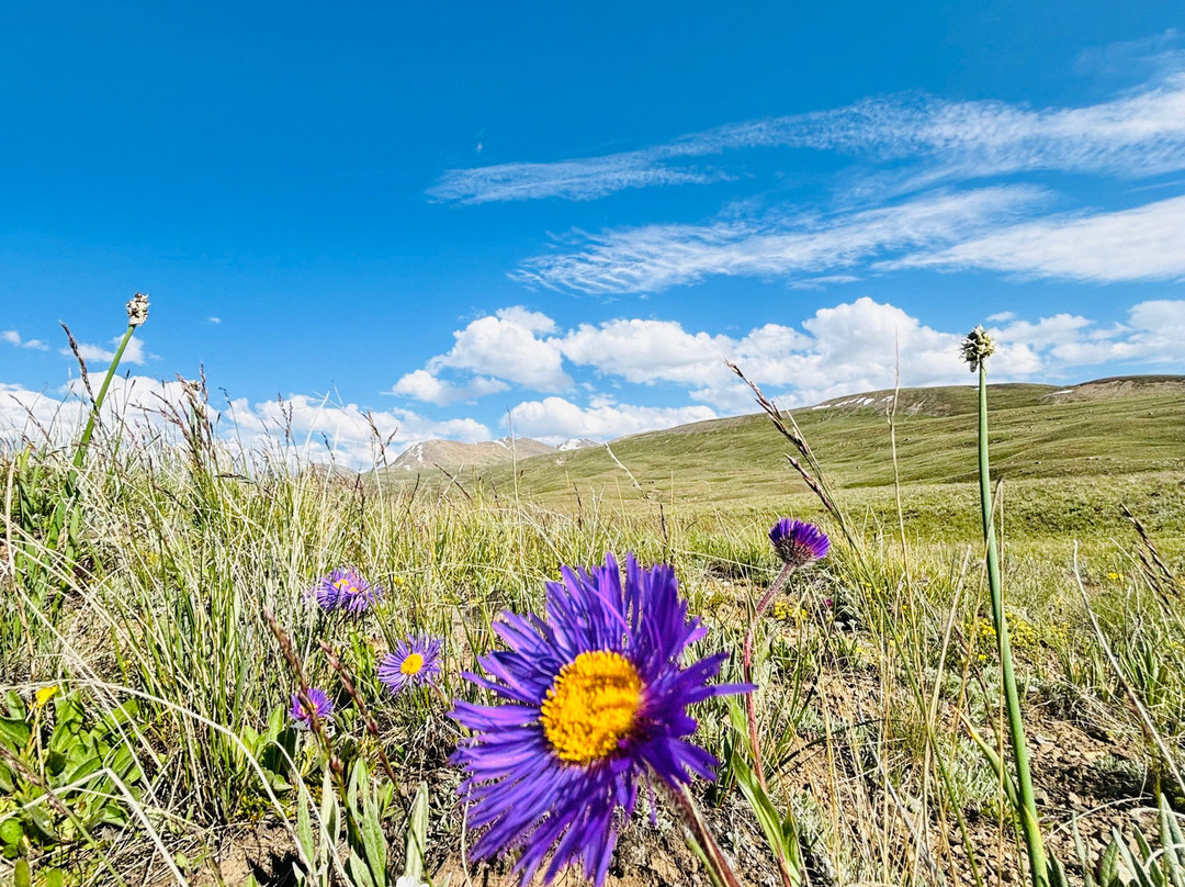 Deosai National Park-Skardu必去景点