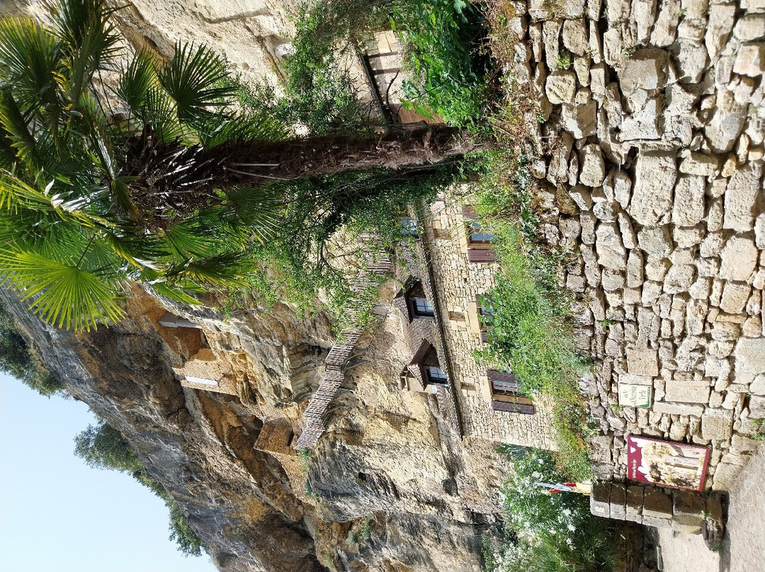 Le Fort de La Roque-Gageac景点图片