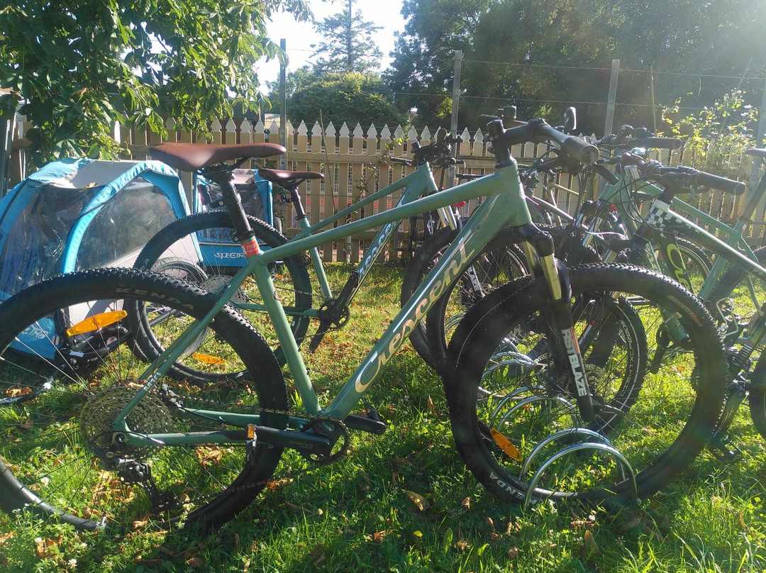 Ölands Cykeluthyrning-Borgholm必去景点