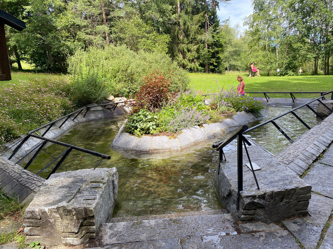 Wildsee-湖地必去景点