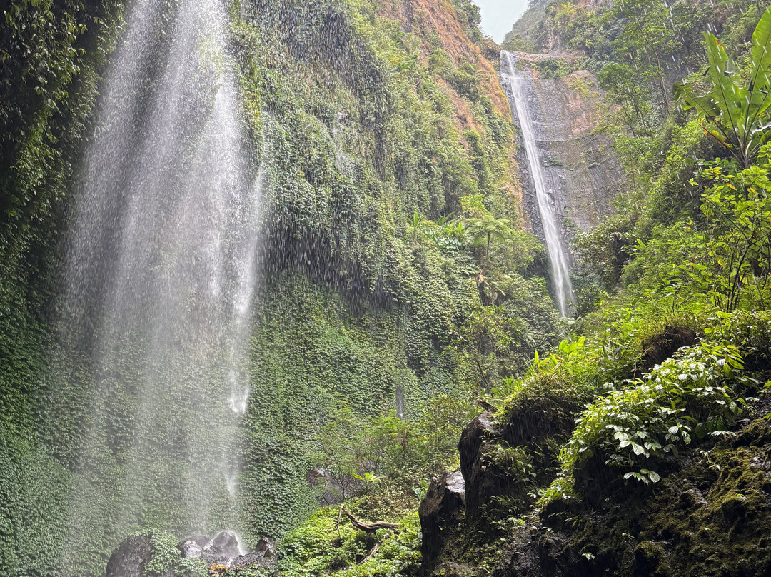 Bromo Explorer-泗水必去景点