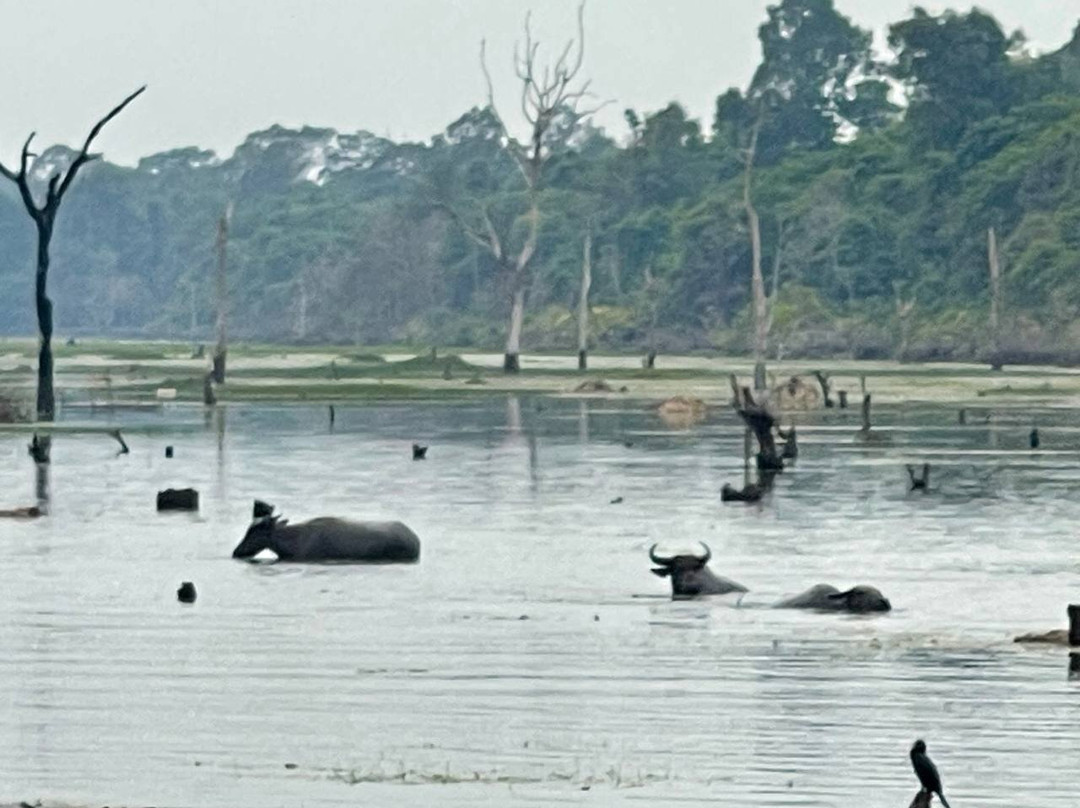 Marvel Angkor Tours-暹粒必去景点