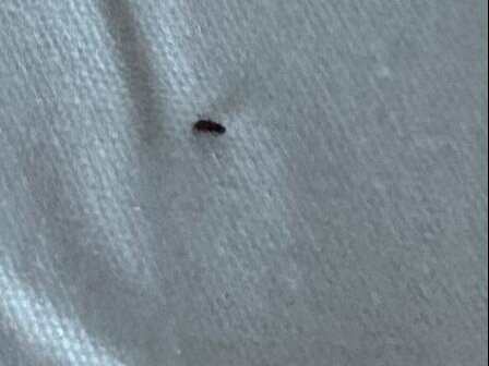 Home2 Suites by Hilton Prattville主图