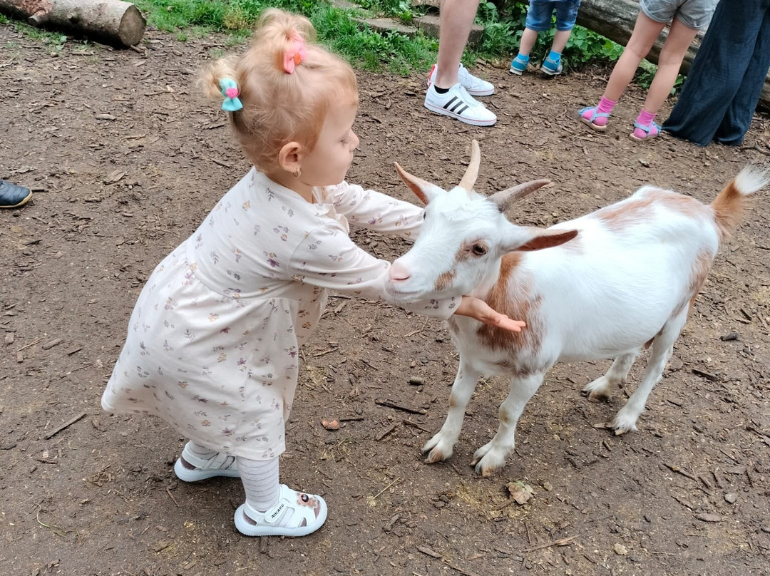 Natur- und Tierpark Brüggen景点图片