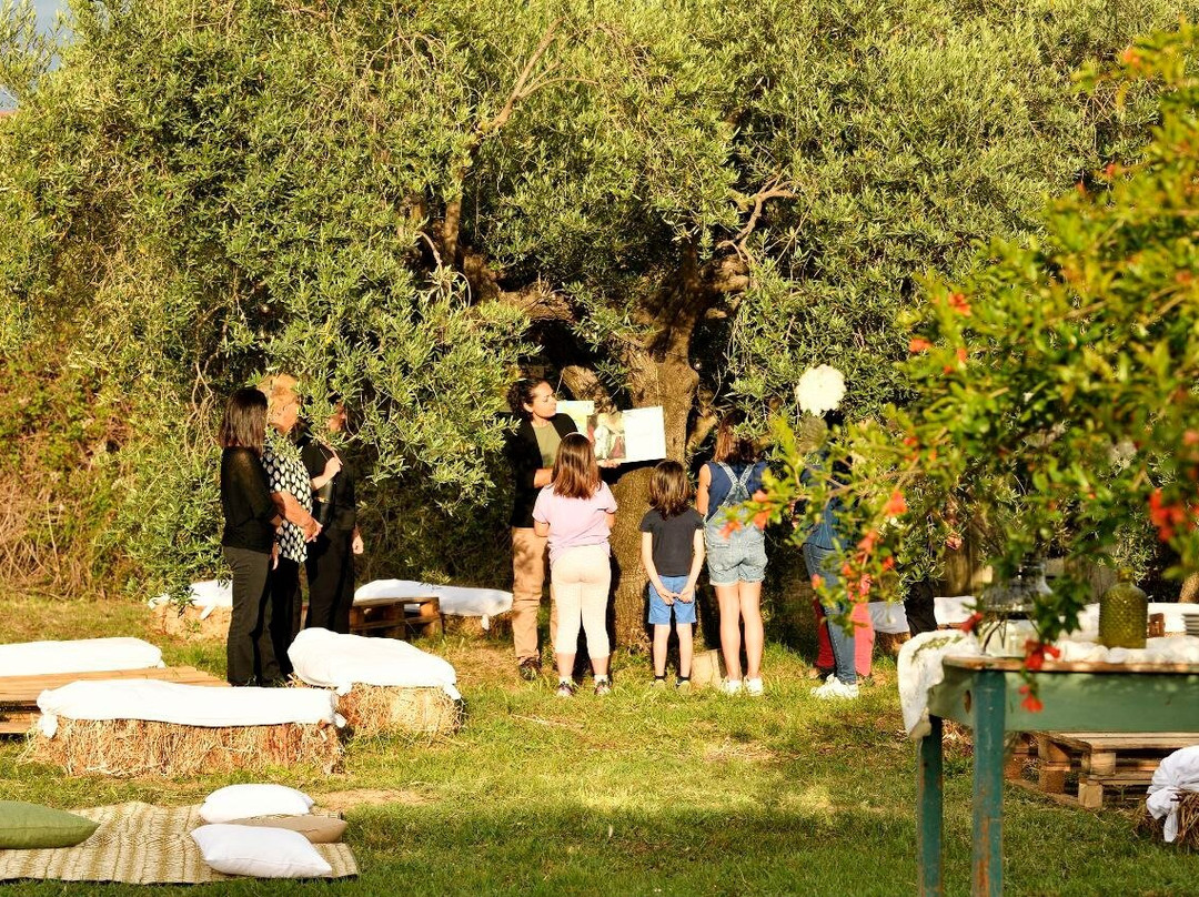 Olivina Experiences