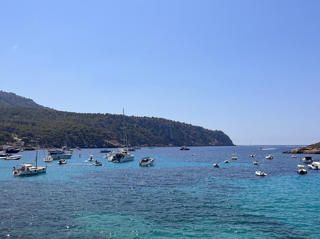 Nautica Sealand - Sin Rumbo Mallorca-Port d'Andratx必去景点